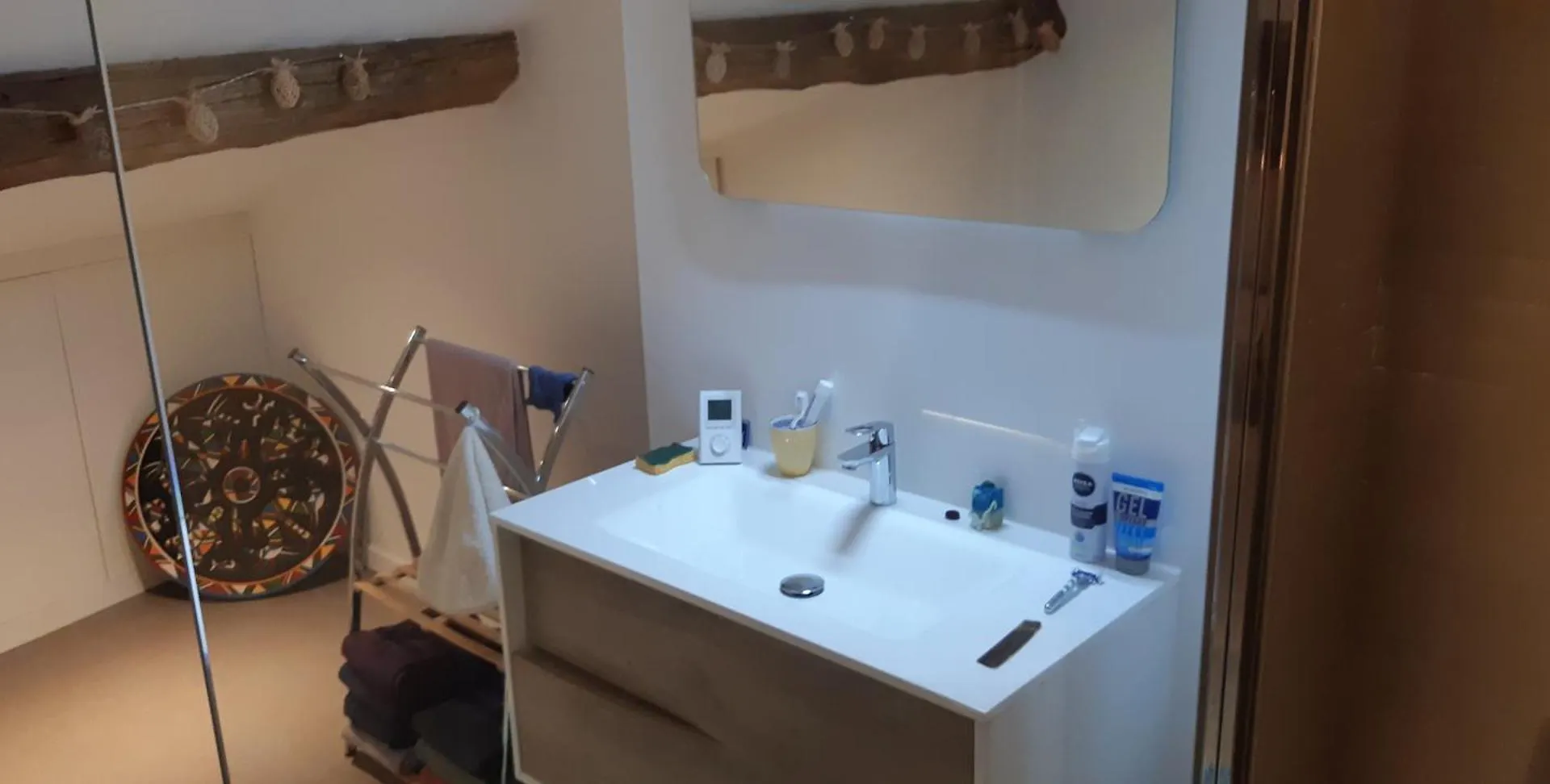 Apartment Appartement Typique Croix Rousse Lyon France